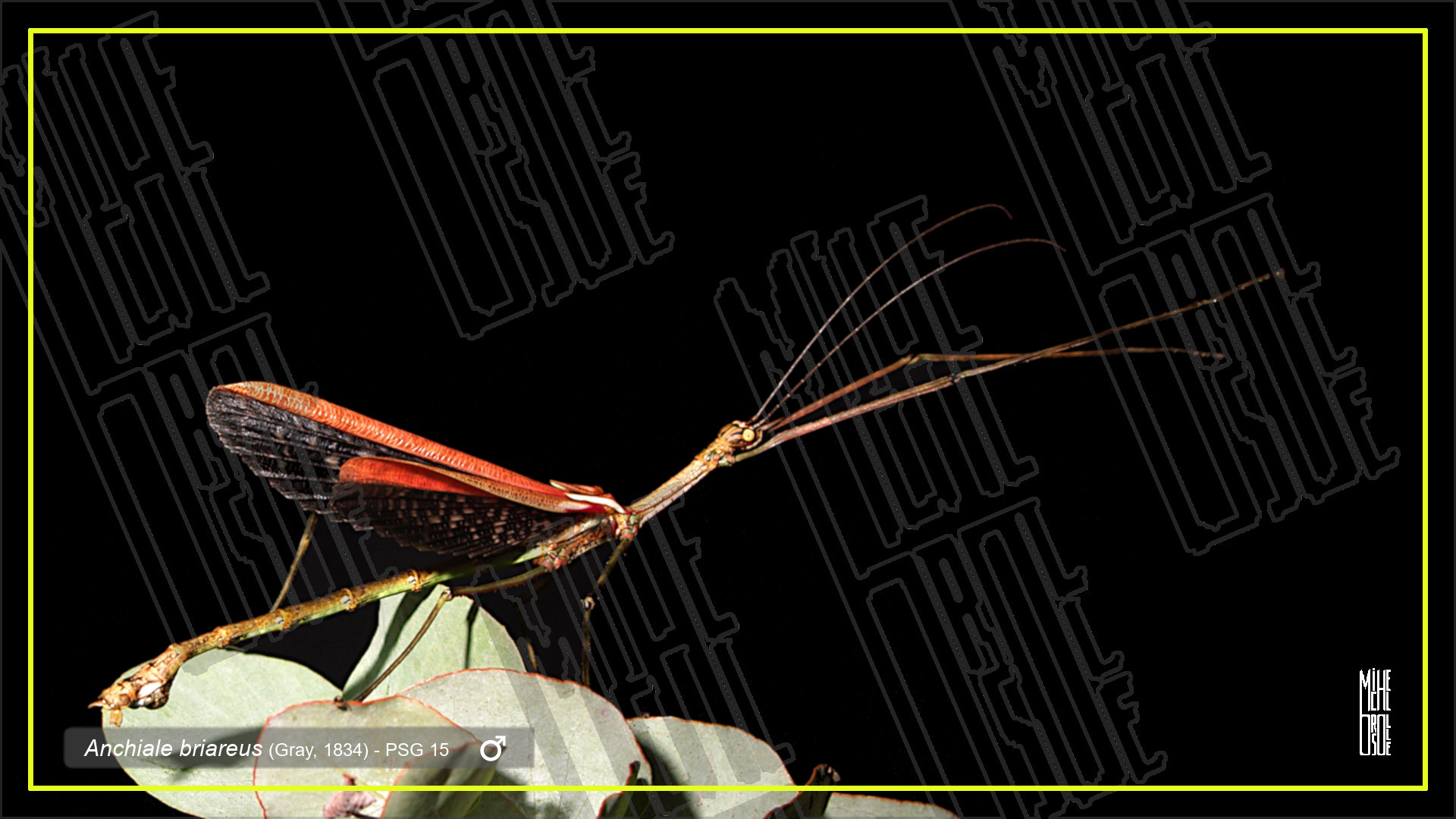 photo 0126