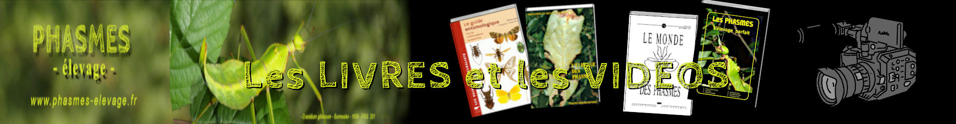 banniere Livres et vidos