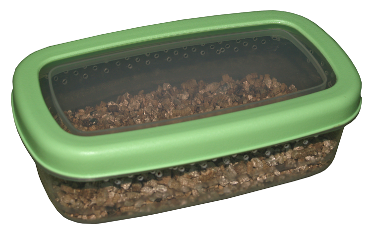 image bote d'incubation pour oeufs de phasmes