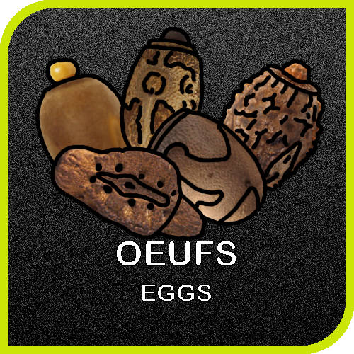 menu les oeufs de phasmes