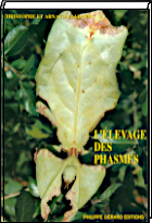 livre : l'levage des phasmes